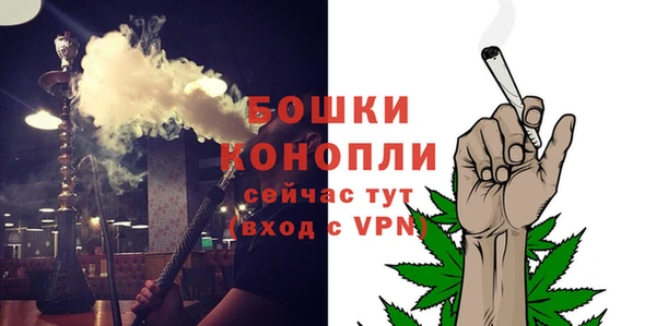 сатива Нефтегорск