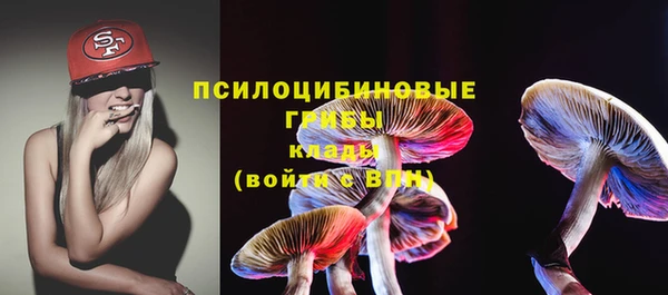 сатива Нефтегорск