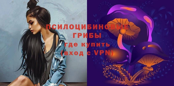 твердый Нефтекумск