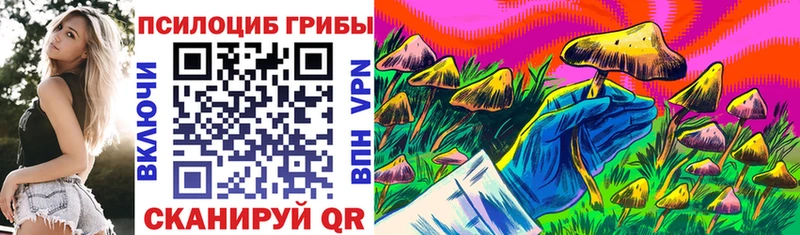 Псилоцибиновые грибы MAGIC MUSHROOMS Ступино